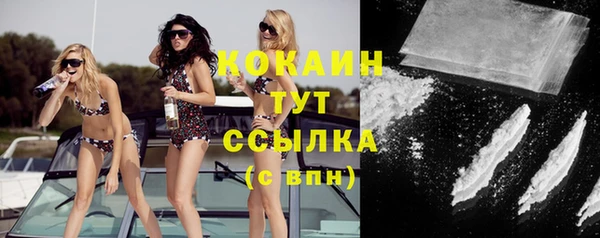 трава Аркадак