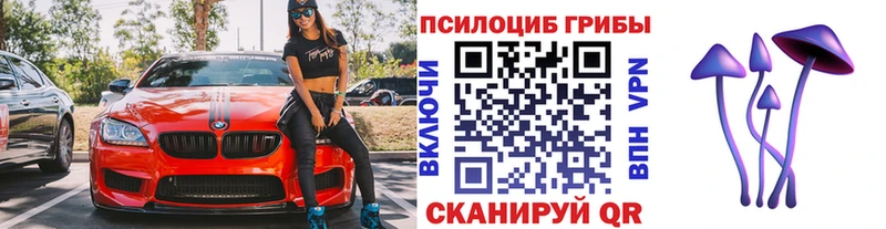 Псилоцибиновые грибы прущие грибы  Полесск 